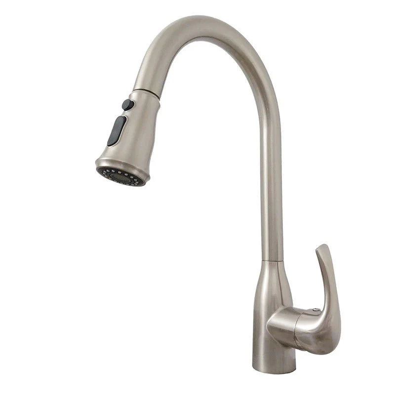 Dakota Sinks DSF-16KPO01 Signature 16 Inch Single Hole Pull-Down Pre-Rinse Kitchen Faucet - Rcy 3d